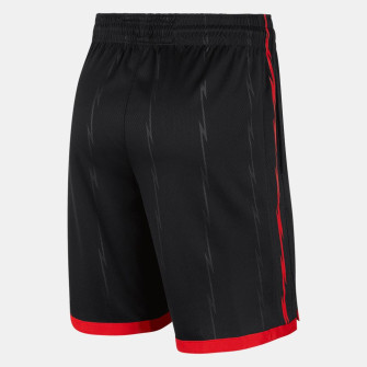 Air Jordan NBA Toronto Raptors Statement Edition Shorts 