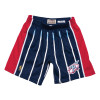 M&N NBA Houston Rockets Road 1996-97 Swingman Shorts ''Blue''