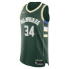 Dres Nike NBA Milwaukee Bucks Giannis Authentic ''Fir''