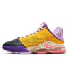 Nike Lebron 19 Low ''Missmatch''