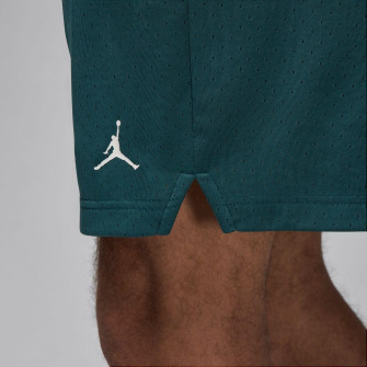 Kratke hlače Air Jordan Sport Mesh ''Oxidized Green''