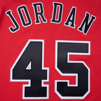 Dres M&N Authentic Alternate Chicago Bulls Michael Jordan 1994-95 ''Scarlet''