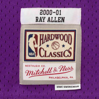Dres M&N Swingman Milwuakee Bucks Ray Allen 2000-01 ''Purple''