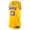 Dres Nike Dri-FIT ADV NBA Authentic Los Angeles Lakers LeBron James ''Amarillo''