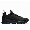 Nike Lebron XIV Low ''Tripple Black''